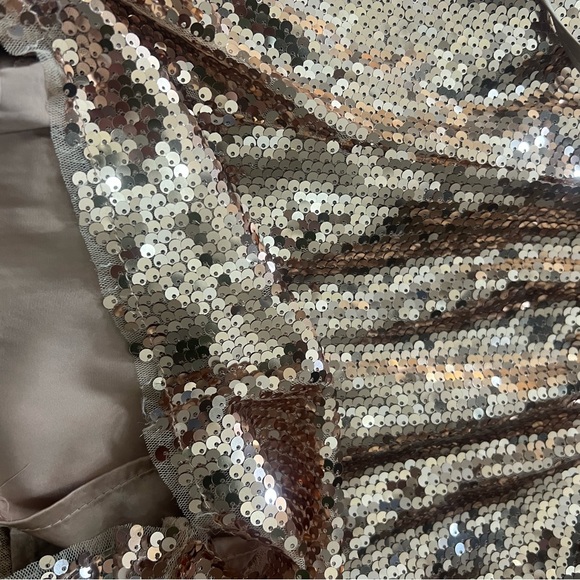 Rose Gold Sequins Shorts - Picture 8 of 9